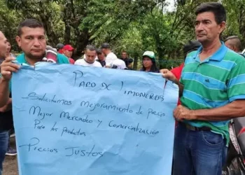 Productores de limón y mango bloquean vía en el Tolima por crisis de precios