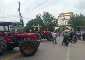 Paro arrocero: bloqueos viales en el Tolima se intensifican y generan pérdidas económicas