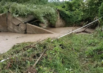 Colapso de puente entre Suárez y Purificación deja incomunicada la zona
