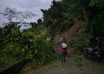 Deslizamiento de tierra bloquea la vía Planadas – Ataco en el sector de Caño Fisto
