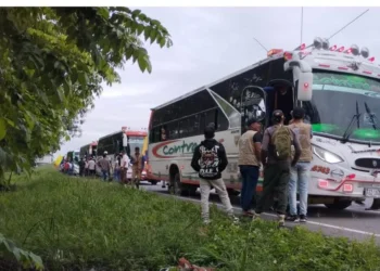 IndĆgenas del Tolima denuncian bloqueos policiales durante movilización hacia BogotĆ”