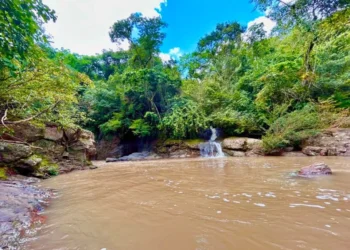 Ataco celebra el Día Mundial del Agua y reafirma su compromiso con la conservación hídrica