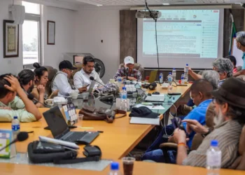 Gobierno destina $50 mil millones para fortalecer el sector arrocero