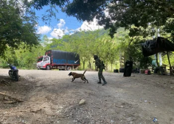 Ejército neutraliza amenaza explosiva en el sur del Tolima