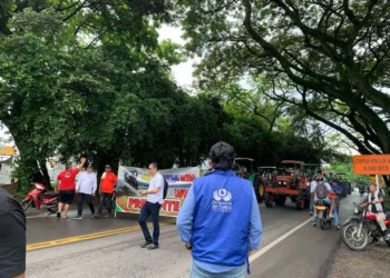 Paro arrocero en Tolima: bloqueos intermitentes afectan la movilidad en varias vías
