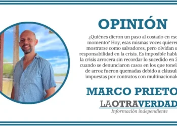 Crisis arrocera en el Tolima: el reflejo de un modelo económico que golpea al agro colombiano