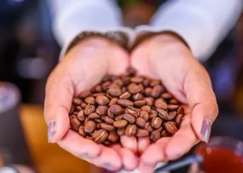 Colombia lidera exportación de café a EE. UU. en 2023