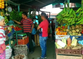 Tolima se conecta a la contratación pública con Mi Mercado Popular