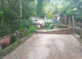 Colapsa puente entre Purificación y Suárez por intensas lluvias