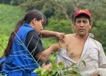 Confirman primer caso de fiebre amarilla en Valle de San Juan: municipio en alerta máxima