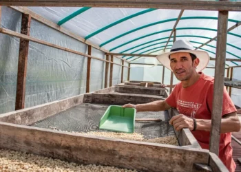 Caficultor tolimense impulsa su marca y fortalece alianzas con inversión del Fondo Emprender