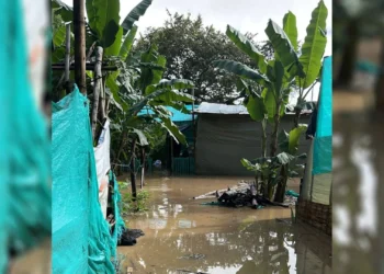 Tolima en alerta: 18 municipios en riesgo por deslizamientos