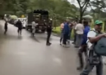 IndĆgenas Nasa bloquean vĆa en Rioblanco por incumplimientos del gobierno