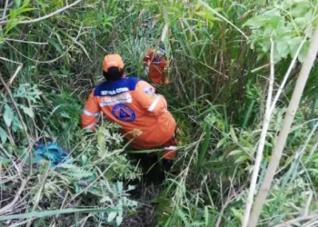 Hombre fue rescatado tras caer de un puente en Cajamarca, Tolima