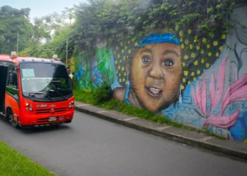 Ibagué optimizarÔ su transporte público con un nuevo estudio de demanda