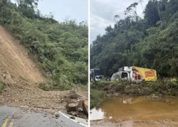 Cierre total en la vía Fresno – Manizales por deslizamientos de tierra y material vegetal
