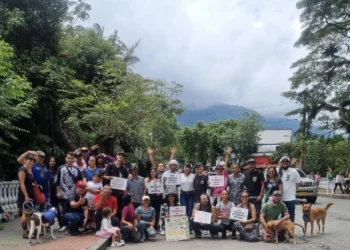Festival Árboles Centenarios: arte, memoria y defensa del Parque Centenario en Ibagué