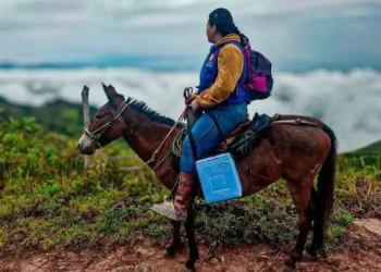 A lomo de mula, la salud llega a las veredas más remotas del Tolima