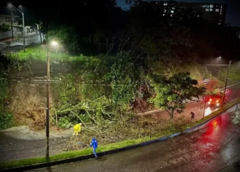 Colapsos por tormenta: árboles, inundaciones y deslizamientos azotan Ibagué