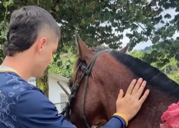 Ibagué activa brigadas gratuitas de sanidad animal en veredas