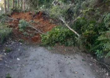 Tolima declara calamidad en 14 municipios por fuertes lluvias y riesgo de deslizamientos