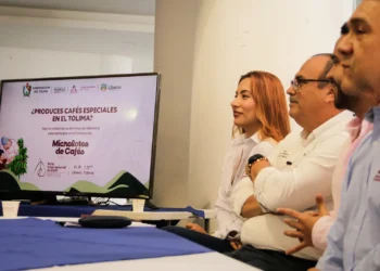 Microlotes tolimenses buscan conquistar al mundo en la Feria Internacional del Café 2025