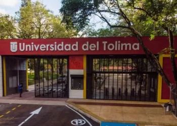 UT abre inscripciones a pregrado con gratuidad en 2025