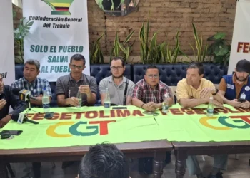 Asociación de Carga Liviana realizará caravana pacífica en Ibagué este 3 de mayo