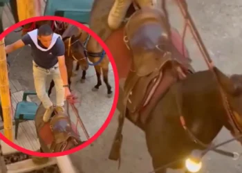 PolƩmica en Casabianca por presunto maltrato animal en evento equino