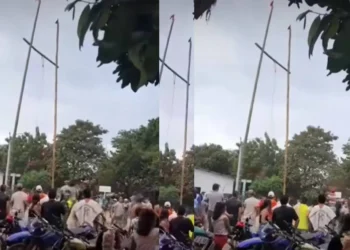 Indignación en Purificación por presunto caso de maltrato animal durante festividades en Chenche