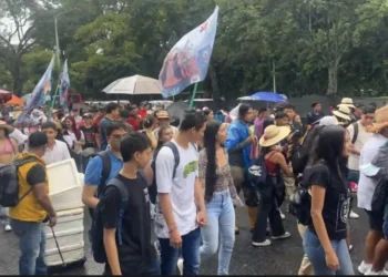 XVI Marcha Carnaval en Ibagué: una fiesta por el agua, la vida y el territorio