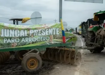 Arroceros del Tolima y Huila inician paro indefinido con bloqueos en vías estratégicas