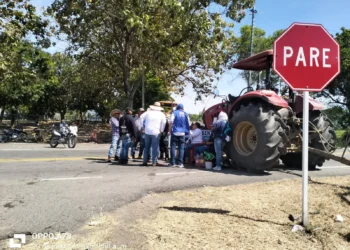 Paro arrocero completa 10 días: se reanudan bloqueos en el Tolima por falta de acuerdos