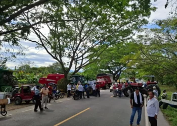 Gremios celebran fin del paro arrocero pero advierten: “La crisis del sector sigue latente”