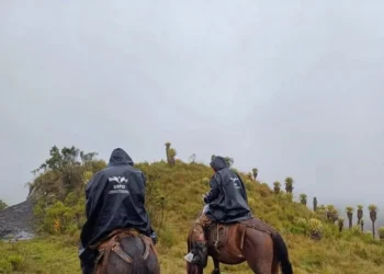 Hallan en Anzoátegui a dos desaparecidos tras 20 años de búsqueda