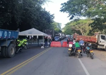 Crisis arrocera se agudiza: paro en Tolima causa millonarias pérdidas