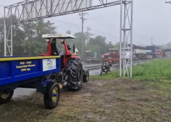 Arroceros del Tolima anuncian paro y bloqueos el 14 de julio