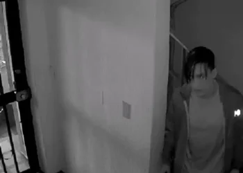 Depredador sexual y ladrón reincidente aterroriza a la comunidad LGBTQ+ en Ibagué