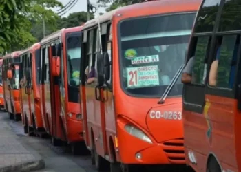 Incumplimiento del SETP en IbaguƩ: La promesa de 41 buses accesibles sigue en el aire