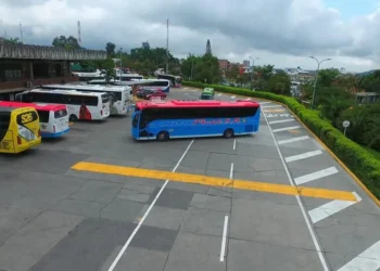 Paro arrocero detiene 40 % de los despachos de buses en Ibagué