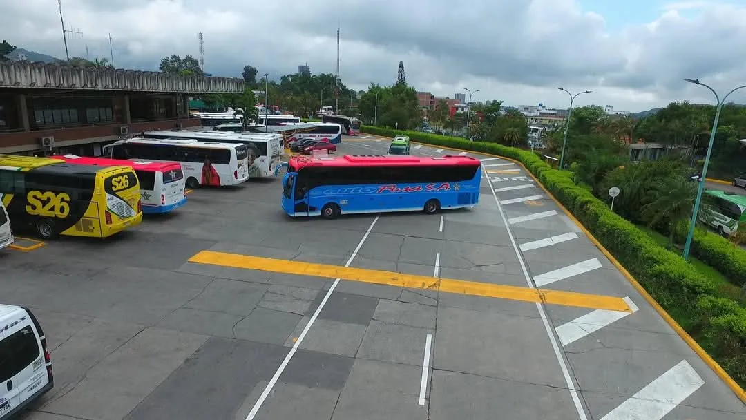 Paro arrocero detiene 40 % de los despachos de buses en Ibagué