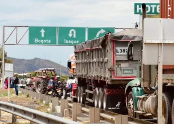 Tolima sigue paralizado por bloqueos del paro arrocero: Saldaña y Coello, puntos más críticos