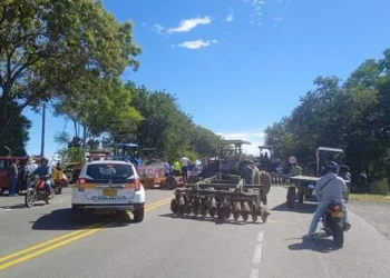 Paro arrocero paraliza al Tolima: Bloqueos masivos en vías nacionales