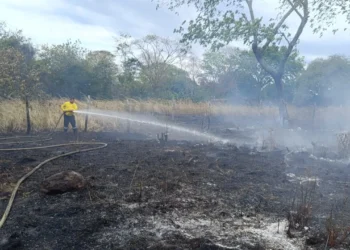 Alerta por incendios en Tolima: 28 municipios en rojo y uno en emergencia activa