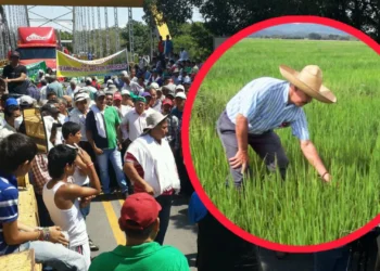 Arroceros del Tolima advierten paro nacional por incumplimientos del Gobierno Petro