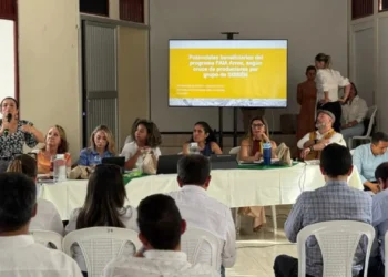 Gobierno avanza en acuerdos con arroceros para superar crisis del sector