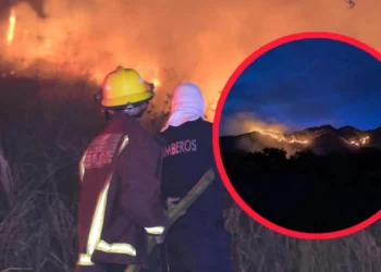 Incendios forestales azotan Tolima: Gualanday sigue en llamas y Nueva Castilla logró ser controlado