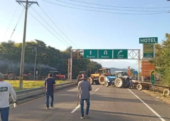 Paro Arrocero en Tolima: Bloqueos continúan y podrían extenderse a 24 horas