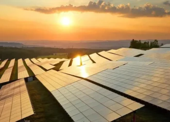 CitarÔn al Congreso de la República a la Directora de Cortolima por negar proyecto solar en el Tolima