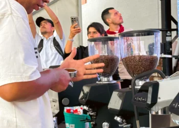 Ibagué Café Festival 2025 reunirá música, sabor y tradición